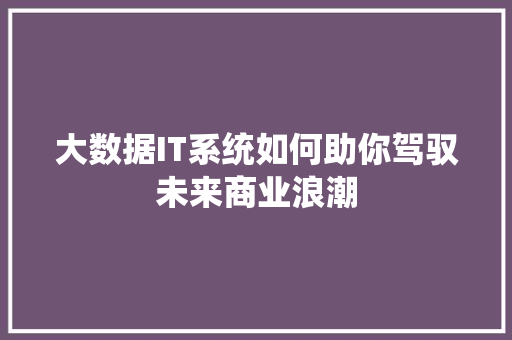 大数据IT系统如何助你驾驭未来商业浪潮 网站建设公司