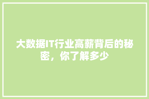 大数据IT行业高薪背后的秘密，你了解多少 必应SEO