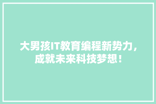 大男孩IT教育编程新势力，成就未来科技梦想！ 必应SEO