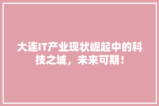 大连IT产业现状崛起中的科技之城，未来可期！ 网站建设公司
