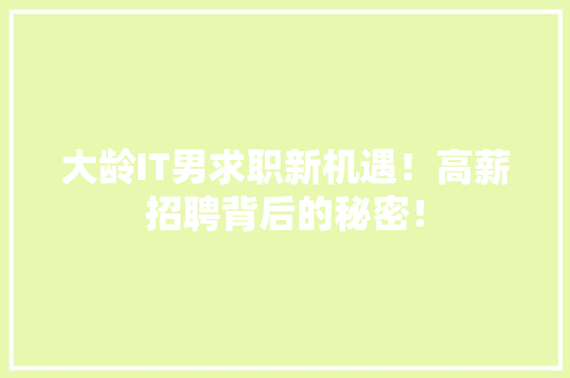大龄IT男求职新机遇！高薪招聘背后的秘密！ SEO关键词