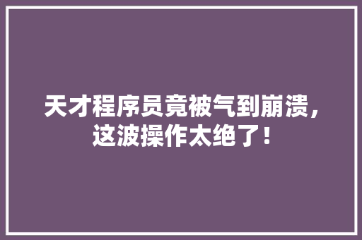 天才程序员竟被气到崩溃，这波操作太绝了！ 百度SEO