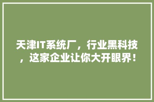 天津IT系统厂，行业黑科技，这家企业让你大开眼界！ SEO关键词