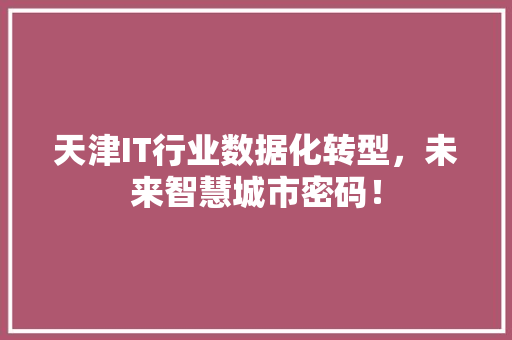 天津IT行业数据化转型，未来智慧城市密码！ SEO关键词