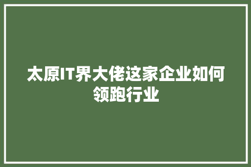 太原IT界大佬这家企业如何领跑行业 神马SEO