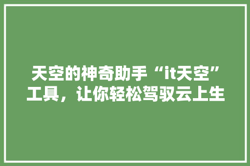 天空的神奇助手“it天空”工具，让你轻松驾驭云上生活 搜狗SEO
