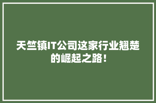 天竺镇IT公司这家行业翘楚的崛起之路！ 百度SEO