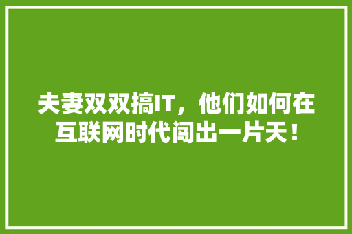 夫妻双双搞IT，他们如何在互联网时代闯出一片天！ 神马SEO