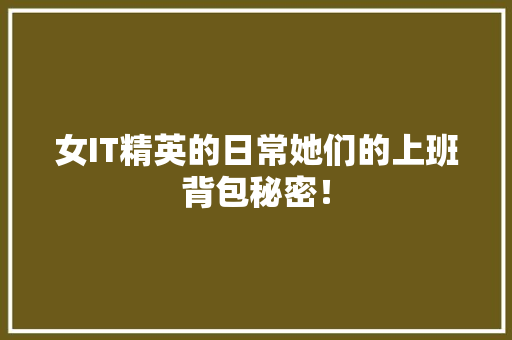 女IT精英的日常她们的上班背包秘密！ 百度SEO