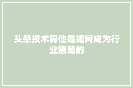 头条技术男他是如何成为行业翘楚的 百度SEO