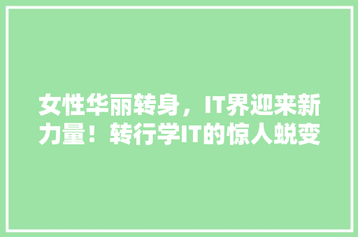 女性华丽转身，IT界迎来新力量！转行学IT的惊人蜕变！ 网站建设公司
