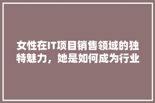 女性在IT项目销售领域的独特魅力，她是如何成为行业翘楚的 SEO关键词