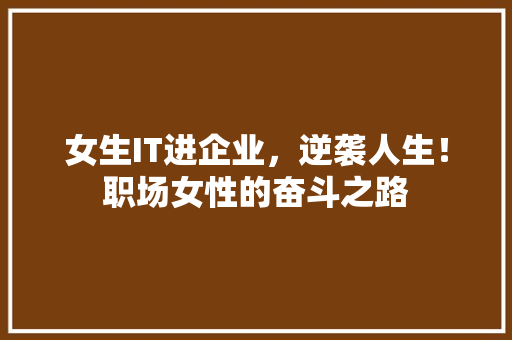 女生IT进企业，逆袭人生！职场女性的奋斗之路 搜狗SEO