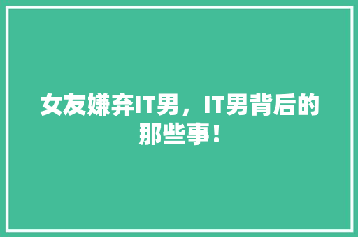 女友嫌弃IT男，IT男背后的那些事！ 神马SEO