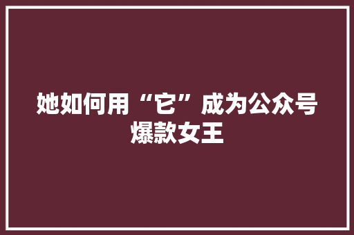 她如何用“它”成为公众号爆款女王 SEO关键词