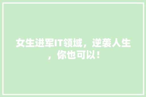 女生进军IT领域，逆袭人生，你也可以！ SEO关键词