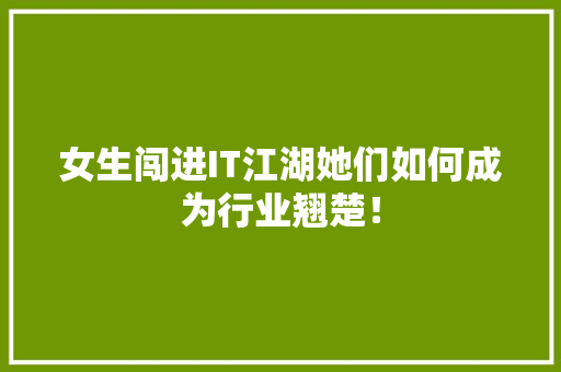 女生闯进IT江湖她们如何成为行业翘楚！ 百度SEO