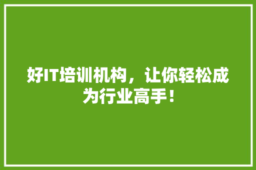 好IT培训机构，让你轻松成为行业高手！ SEO关键词