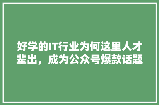 好学的IT行业为何这里人才辈出，成为公众号爆款话题！ 百度SEO
