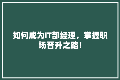 如何成为IT部经理，掌握职场晋升之路！ 神马SEO