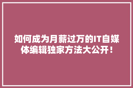 如何成为月薪过万的IT自媒体编辑独家方法大公开！ 百度SEO