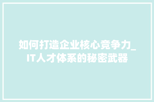 如何打造企业核心竞争力_IT人才体系的秘密武器 百度SEO