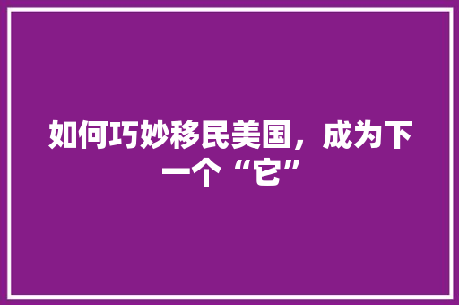 如何巧妙移民美国，成为下一个“它” SEO关键词