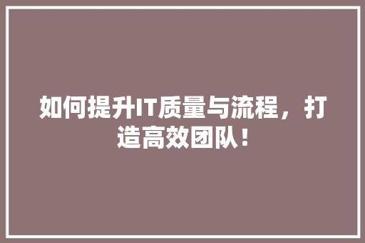 如何提升IT质量与流程，打造高效团队！ 必应SEO