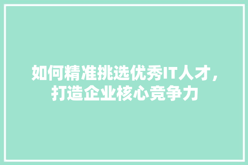 如何精准挑选优秀IT人才，打造企业核心竞争力 网站建设公司