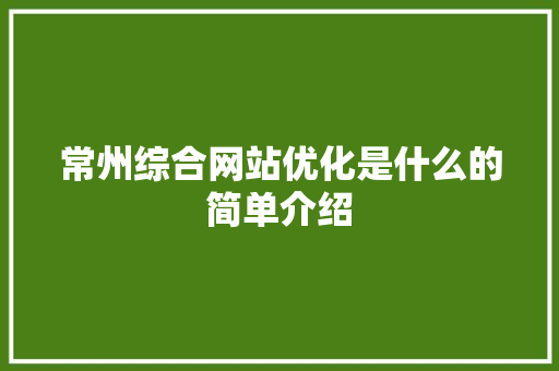 常州综合网站优化是什么的简单介绍 常州综合网站优化是什么的简单介绍 必应SEO