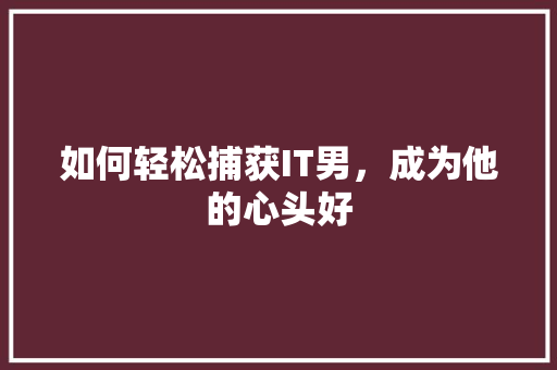 如何轻松捕获IT男，成为他的心头好 SEO关键词