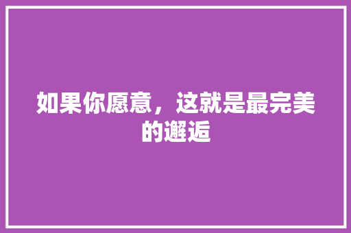 如果你愿意，这就是最完美的邂逅