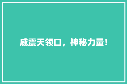 威震天领口，神秘力量！ 百度SEO