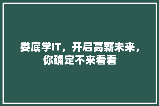 娄底学IT，开启高薪未来，你确定不来看看 SEO关键词