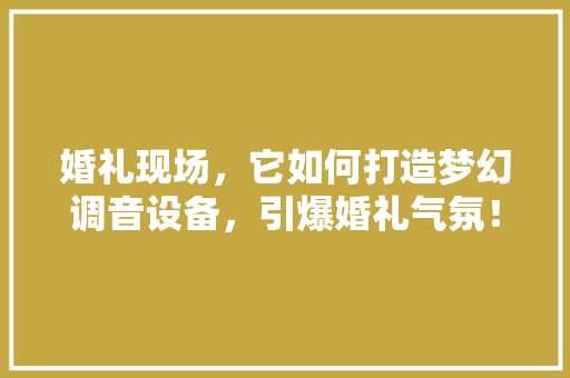 婚礼现场，它如何打造梦幻调音设备，引爆婚礼气氛！