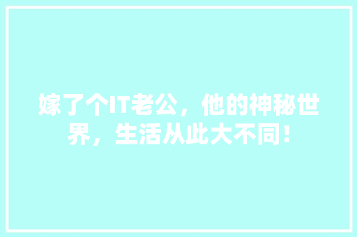 嫁了个IT老公，他的神秘世界，生活从此大不同！ 网站建设公司