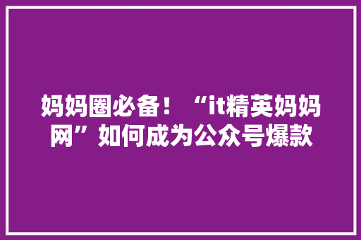 妈妈圈必备！“it精英妈妈网”如何成为公众号爆款 SEO关键词