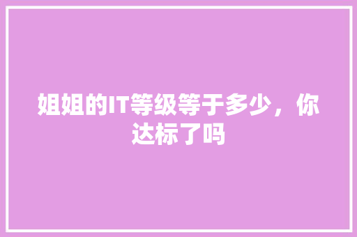 姐姐的IT等级等于多少，你达标了吗 神马SEO