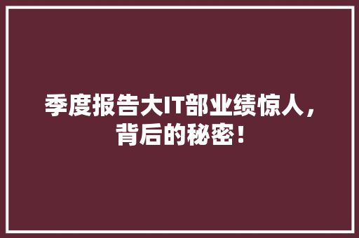 季度报告大IT部业绩惊人，背后的秘密！ 必应SEO