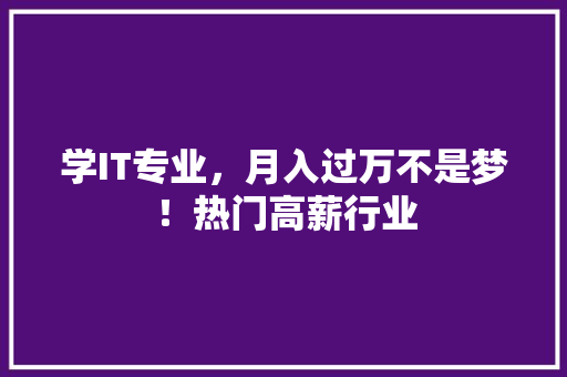 学IT专业，月入过万不是梦！热门高薪行业 网站建设公司