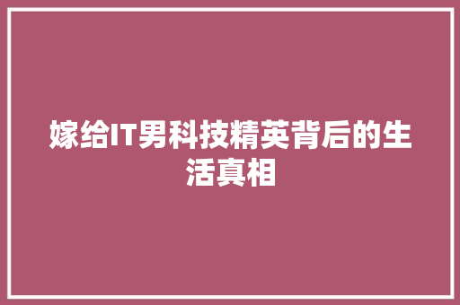 嫁给IT男科技精英背后的生活真相 网站建设公司
