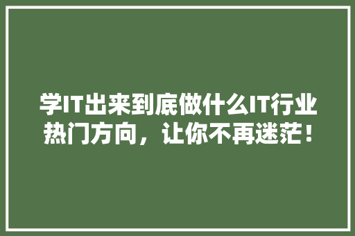 学IT出来到底做什么IT行业热门方向，让你不再迷茫！ SEO关键词