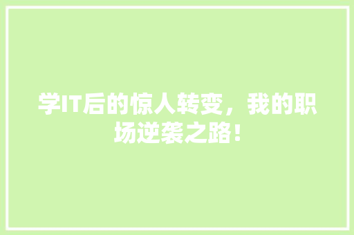 学IT后的惊人转变，我的职场逆袭之路！ 必应SEO