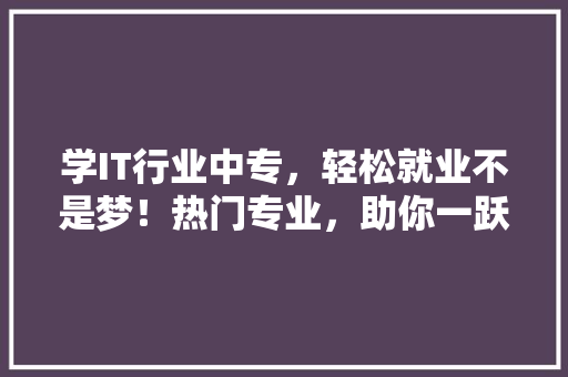 学IT行业中专，轻松就业不是梦！热门专业，助你一跃成为高薪人才 SEO关键词