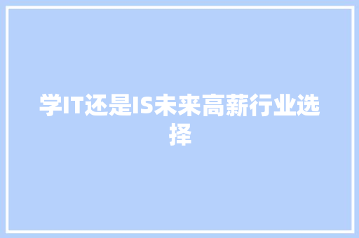学IT还是IS未来高薪行业选择 SEO关键词