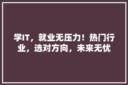 学IT，就业无压力！热门行业，选对方向，未来无忧 必应SEO