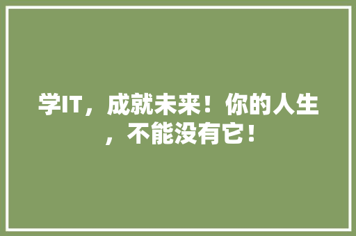 学IT，成就未来！你的人生，不能没有它！ 百度SEO