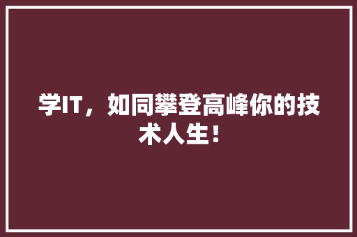学IT，如同攀登高峰你的技术人生！
