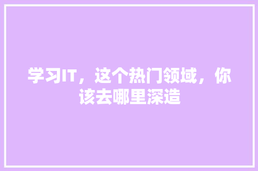 学习IT，这个热门领域，你该去哪里深造 神马SEO
