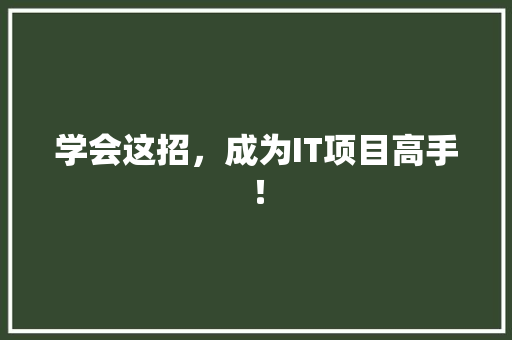 学会这招，成为IT项目高手！ SEO关键词